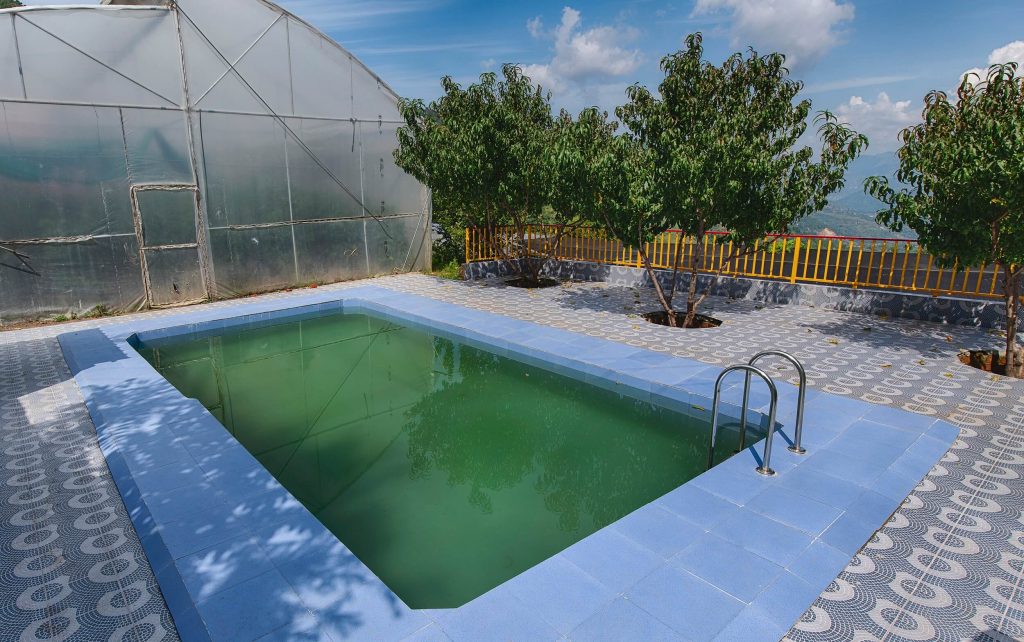 Affordable family stay at resort in Solan